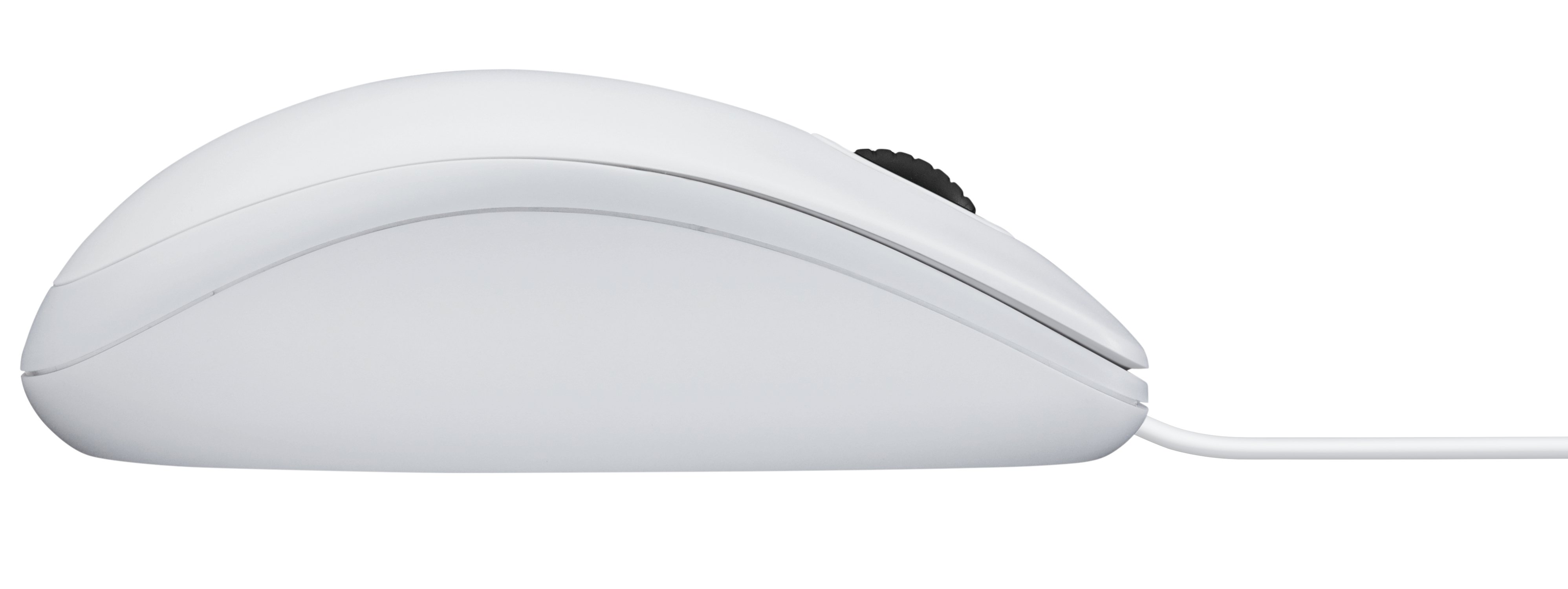 Ratón LOGITECH B100 (Óptico - 800 dpi - Blanco)