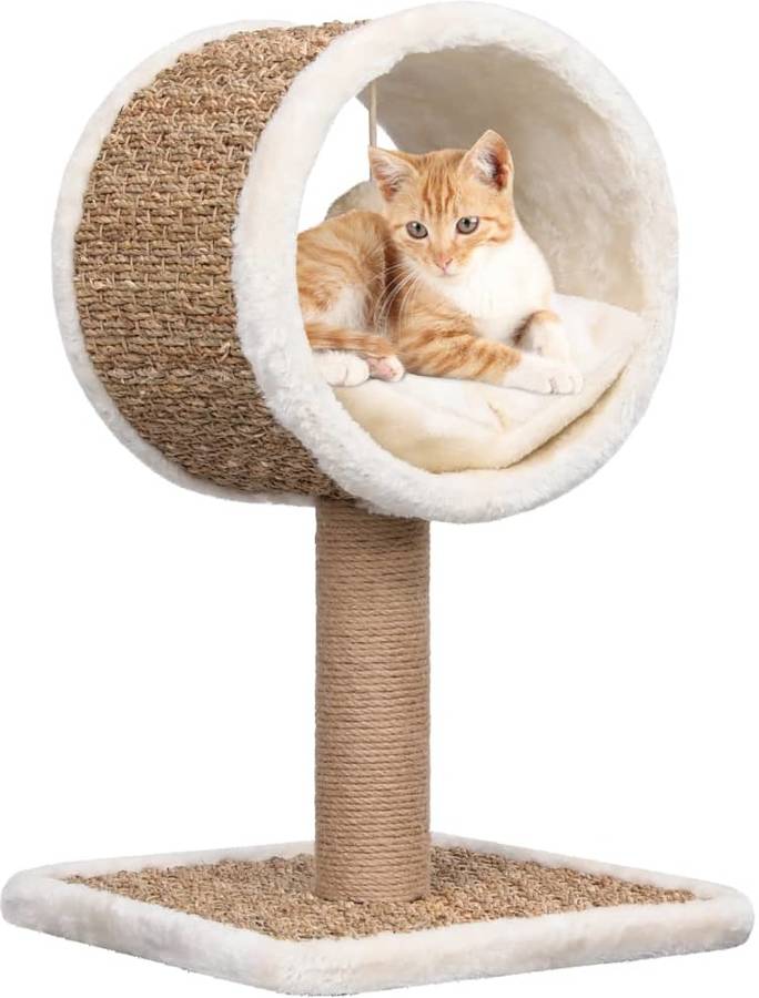 Rascador para Gatos VIDAXL (Marrón - 34 x 34 x 56 cm - Hierba Marina)