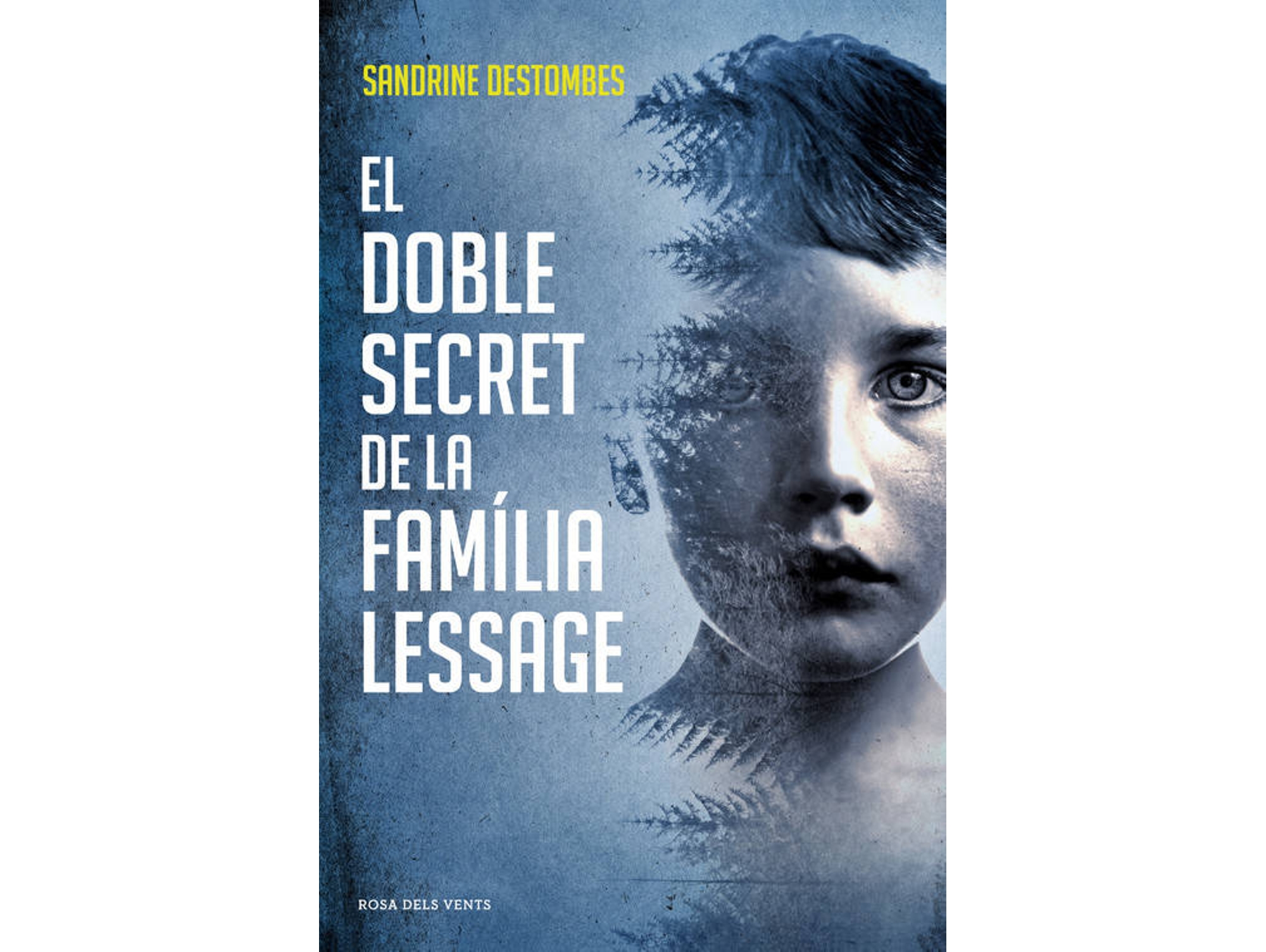 Libro El Doble Secret De La Familia Lessage de Sandrine Destombes