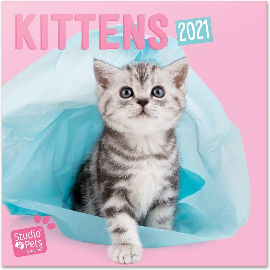 Calendario OFIURIA Studio Pets Kittens (2021 - 30 x 30 cm)