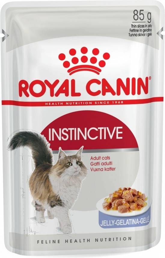 Pienso para Gatos ROYAL CANIN (85g - Húmedo - Adulto)