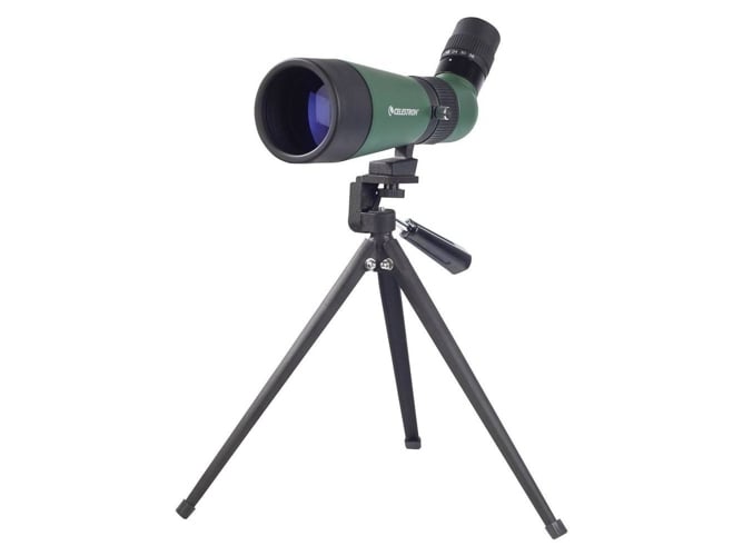 Telescopio Terrestre CELESTRON Landscout 12-36X60 45º