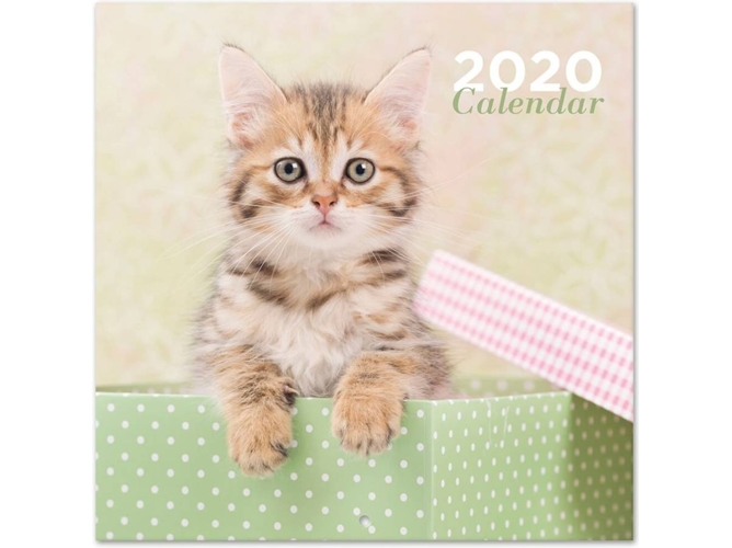 Grupo Erik Cp20013 calendario de pared 2020 chantrenne cat 30 x 30x30