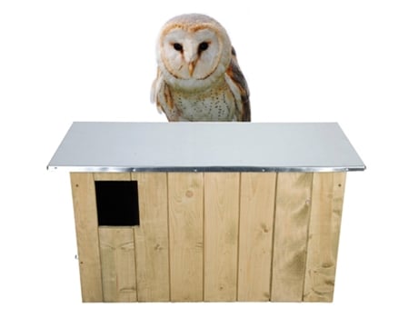 Jogo de Mesa ESSCHERT DESIGN Barn Owl Box (3 Anos)